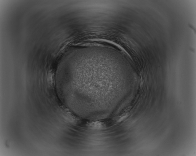 X0000091920276200709191346