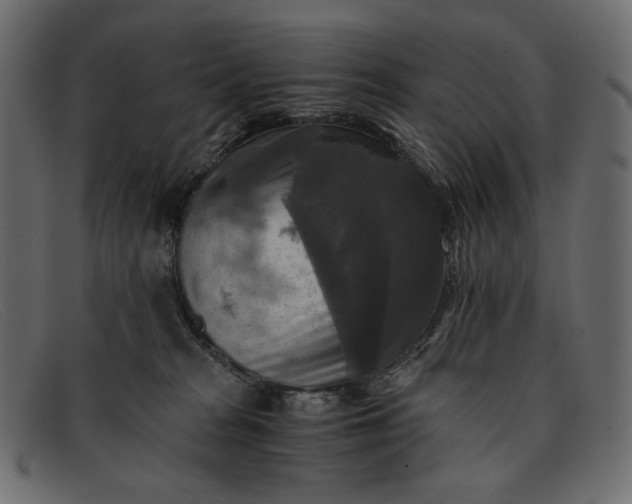 X0000091920277200709191346