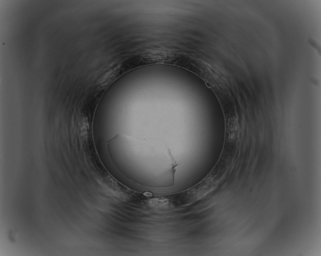 X0000091920279200709191346