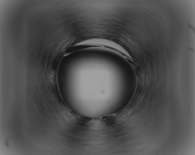 X0000091920280200709191346