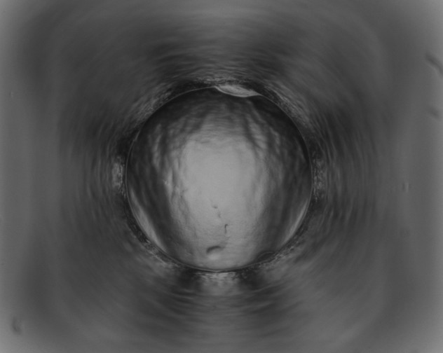 X0000091920281200709191346