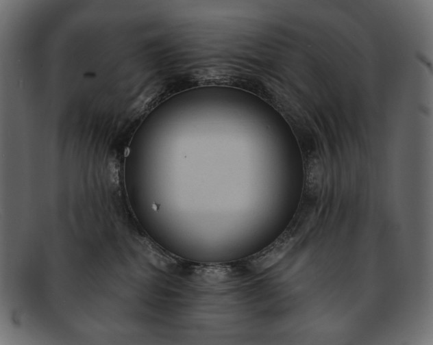 X0000091920282200709191346