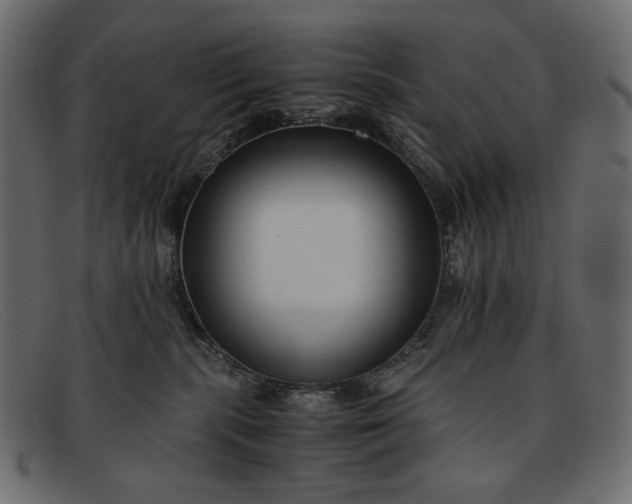 X0000091920283200709191346