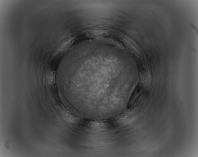 X0000091920284200709191346