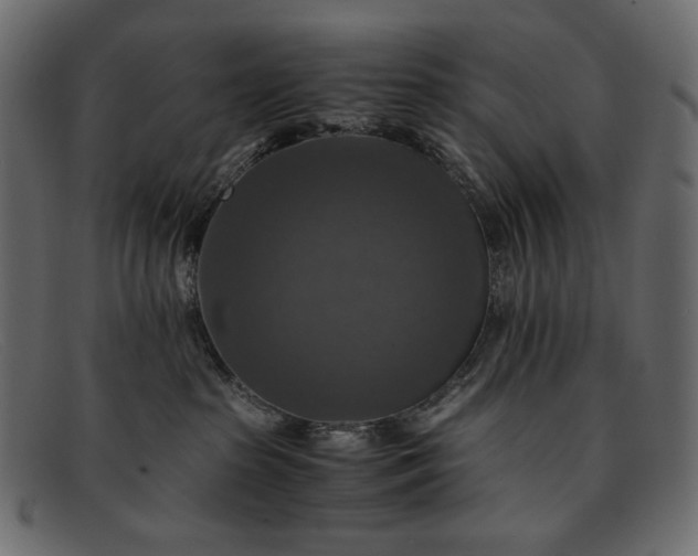 X0000091920285200709191346