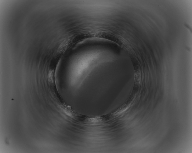 X0000091920286200709191346