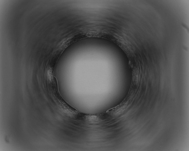 X0000091920287200709191346