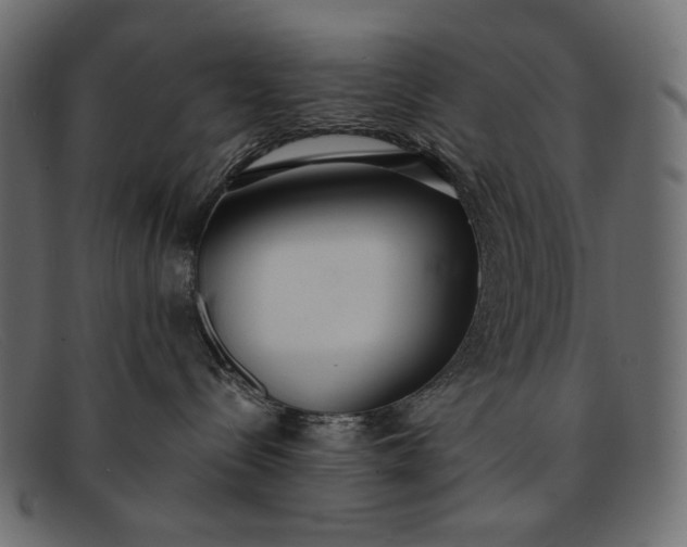 X0000091920288200709191346