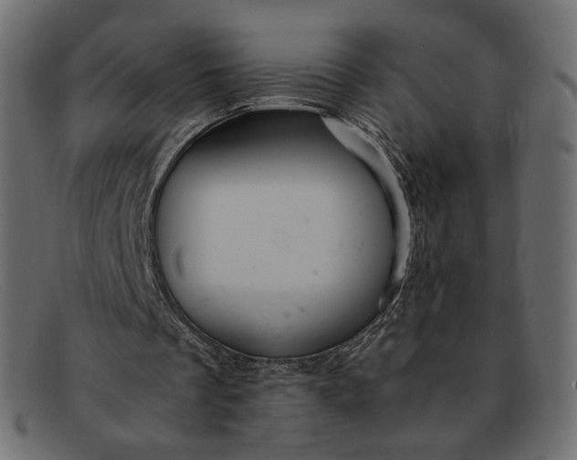 X0000091920289200709191345