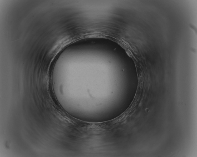 X0000091920290200709191345