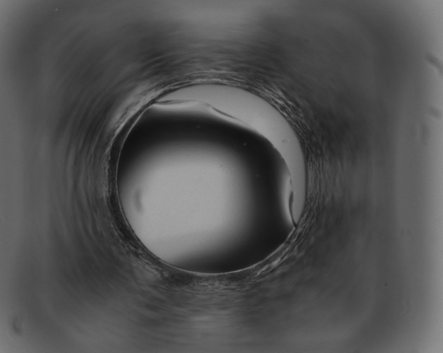 X0000091920291200709191345