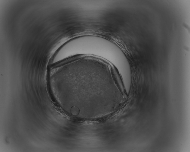 X0000091920292200709191345