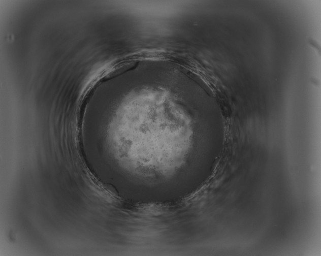 X0000091920293200709191345