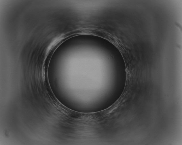 X0000091920294200709191345