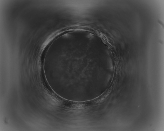 X0000091920295200709191345