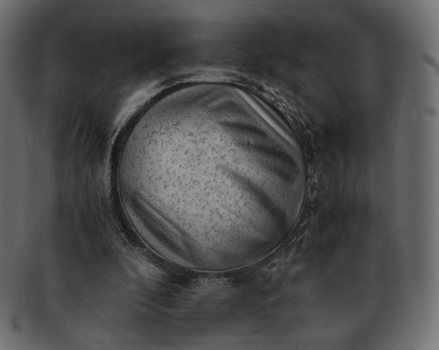 X0000091920296200709191345