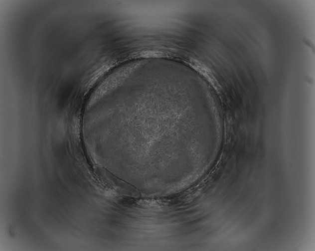 X0000091920297200709191345