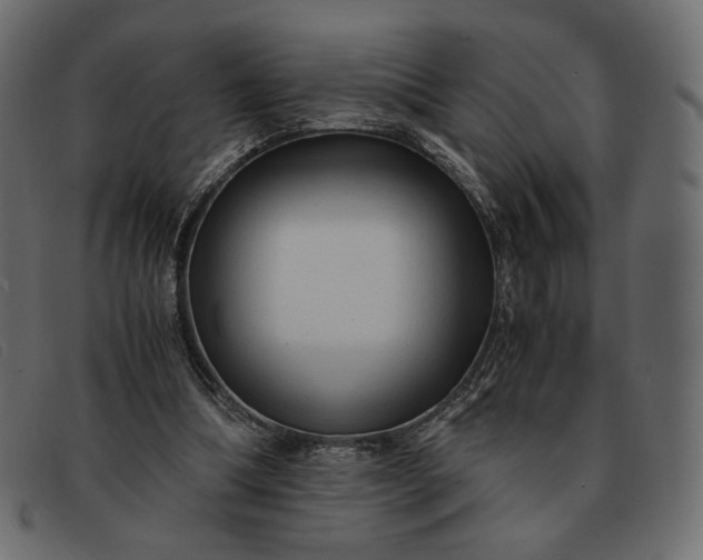 X0000091920298200709191345