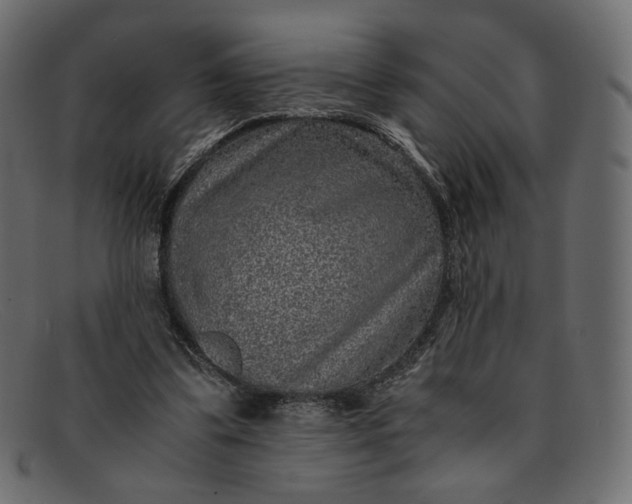 X0000091920299200709191345