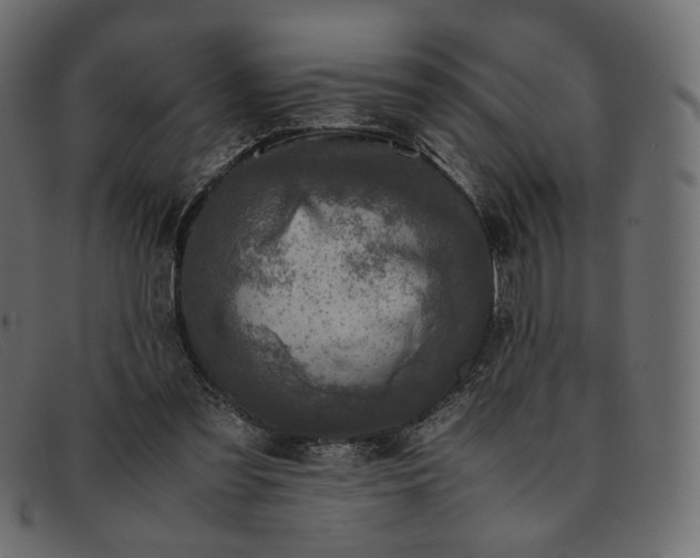 X0000091920301200709191345