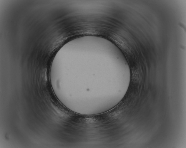 X0000091920302200709191345