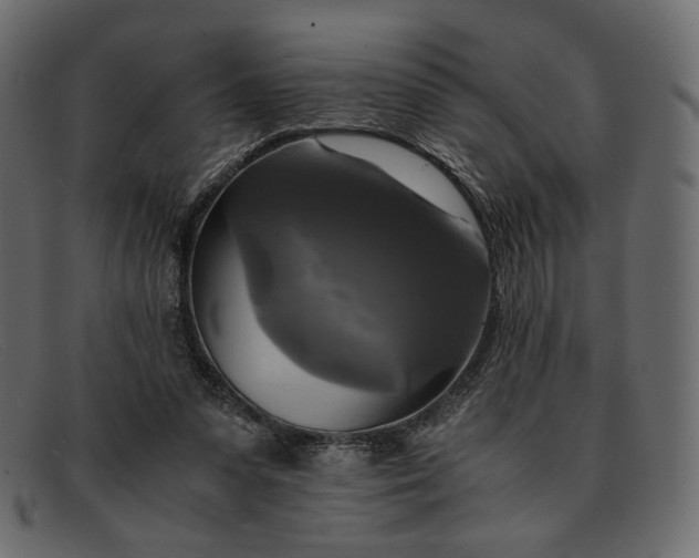 X0000091920303200709191345