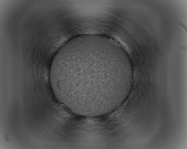 X0000091920305200709191345