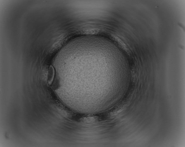 X0000091920307200709191345