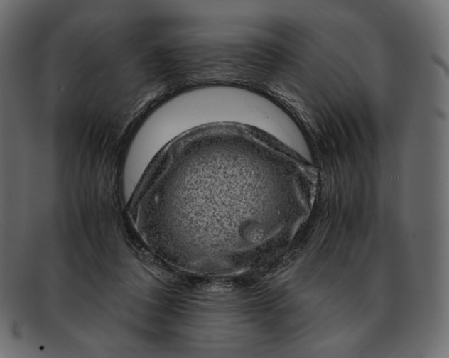 X0000091920308200709191345