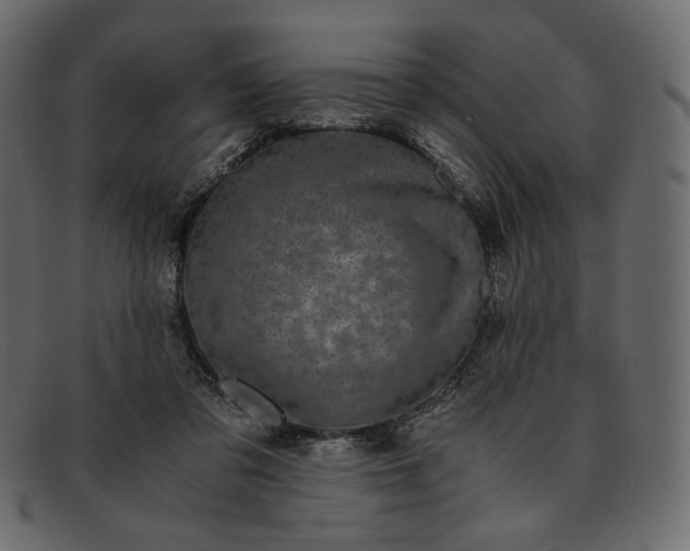 X0000091920309200709191345