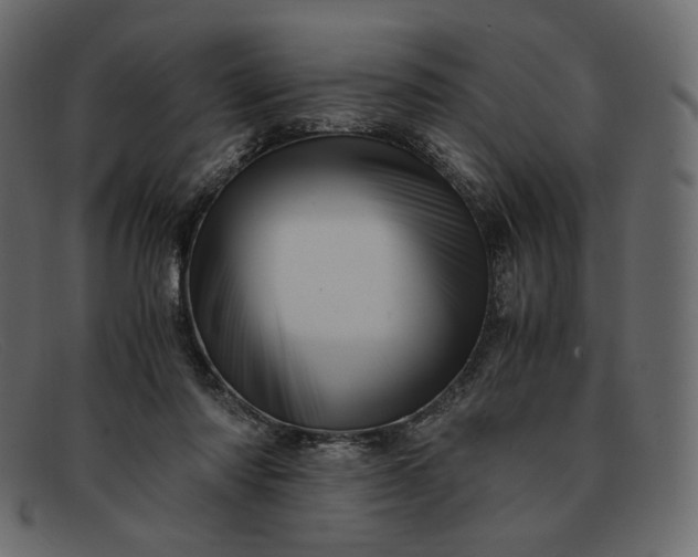 X0000091920310200709191345