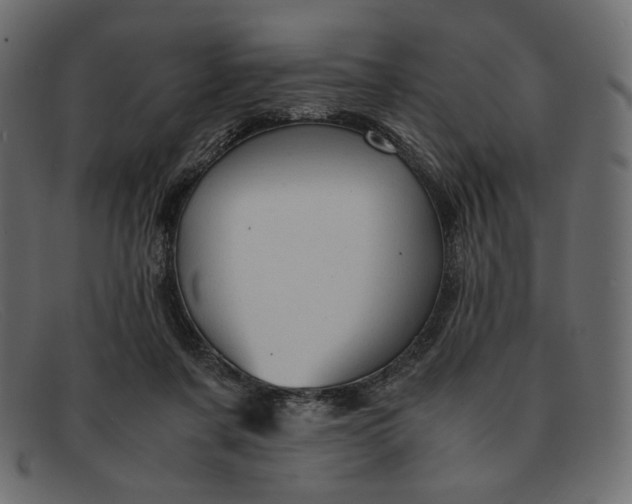 X0000091920311200709191345