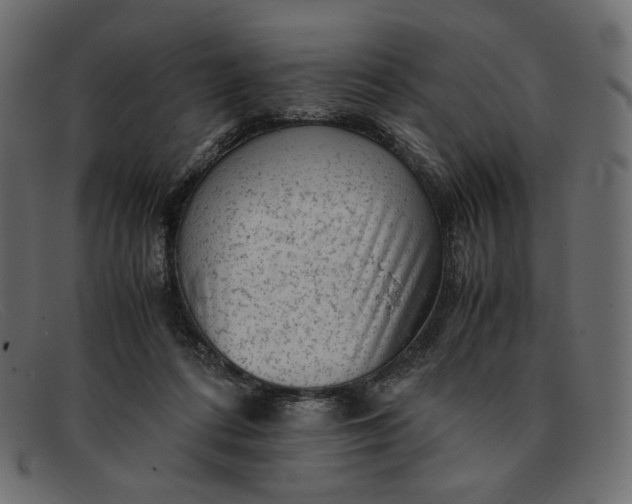 X0000091920312200709191344