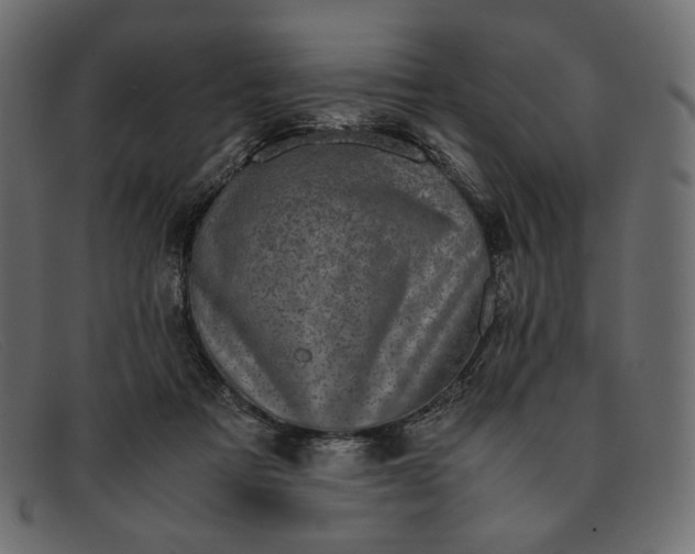 X0000091920313200709191344