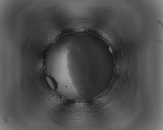 X0000091920314200709191344