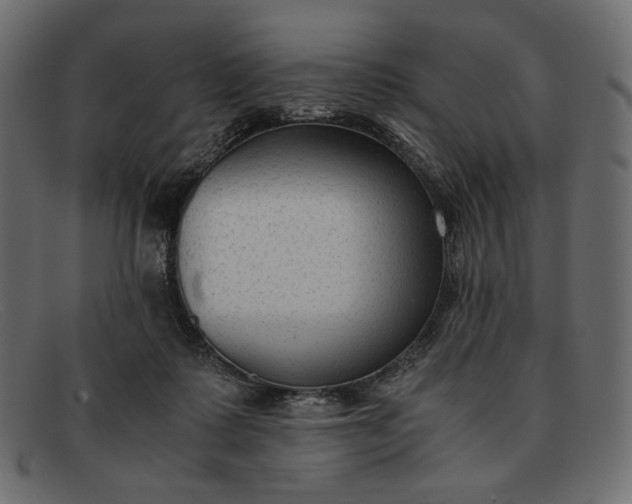 X0000091920315200709191344