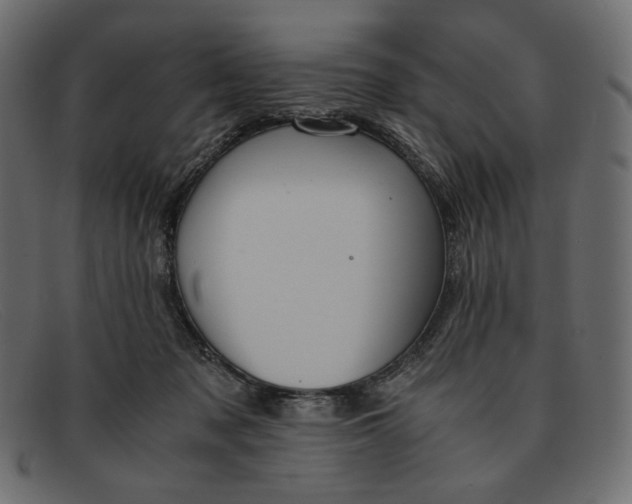 X0000091920317200709191344