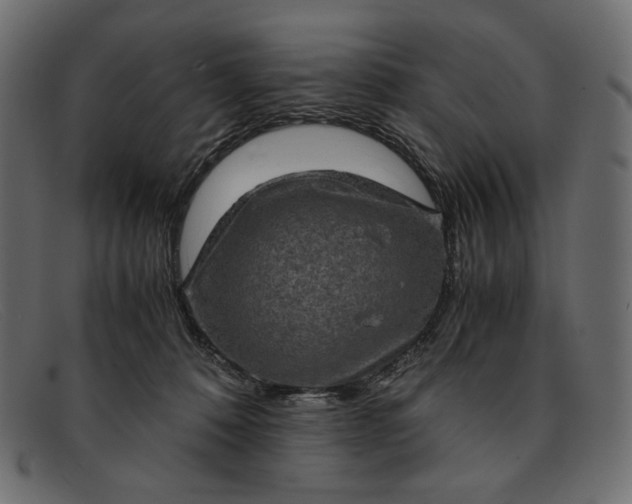 X0000091920320200709191344