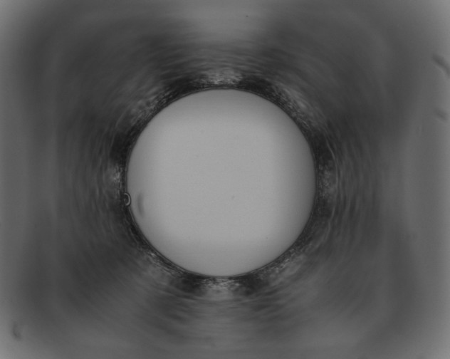 X0000091920321200709191344