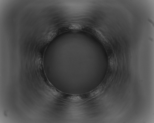 X0000091920322200709191344