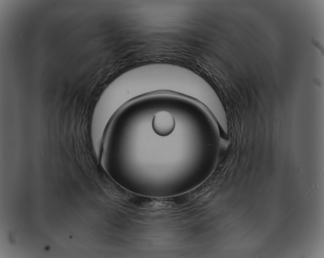 X0000091920323200709191344