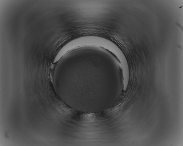 X0000091920325200709191344