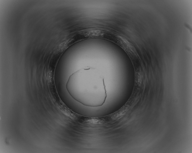 X0000091920326200709191344