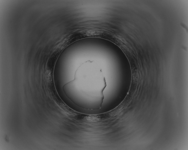 X0000091920327200709191344