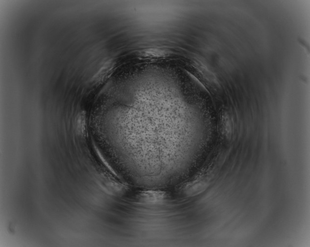 X0000091920328200709191344