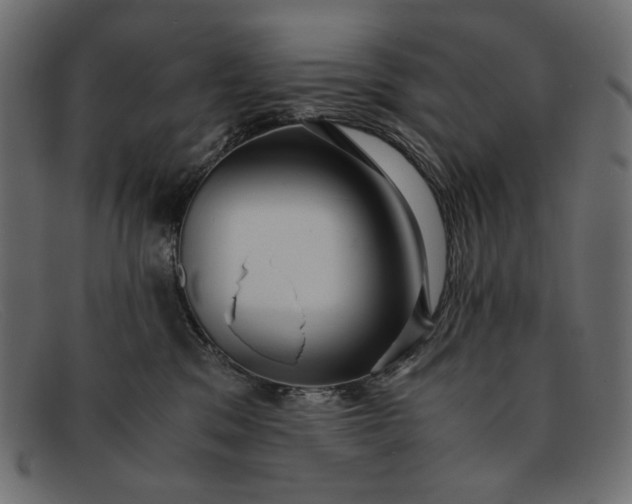 X0000091920329200709191344