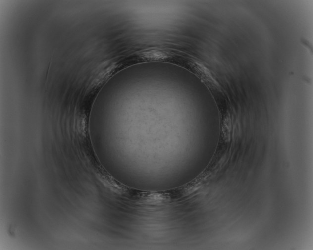 X0000091920330200709191344