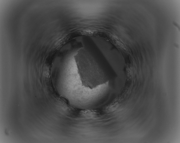 X0000091920331200709191344