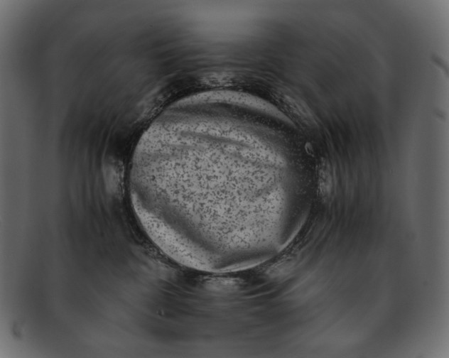 X0000091920332200709191344