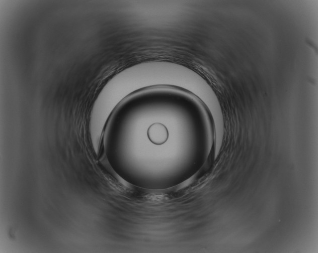 X0000091920333200709191344